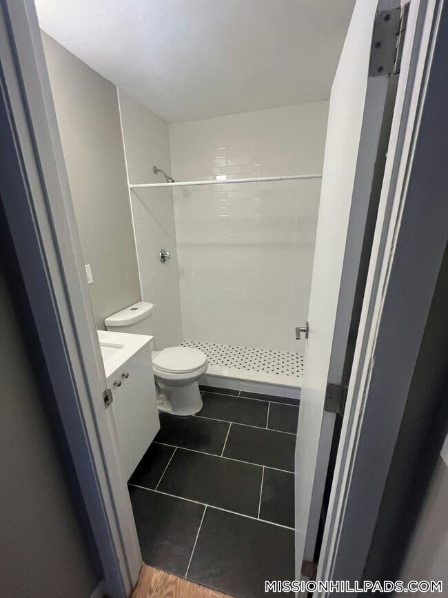 226 Parker Hill Ave, Unit 5 in Roxbury Crossing, MA - Building Photo - Building Photo