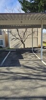 3890 E Leonesio Dr in Reno, NV - Building Photo
