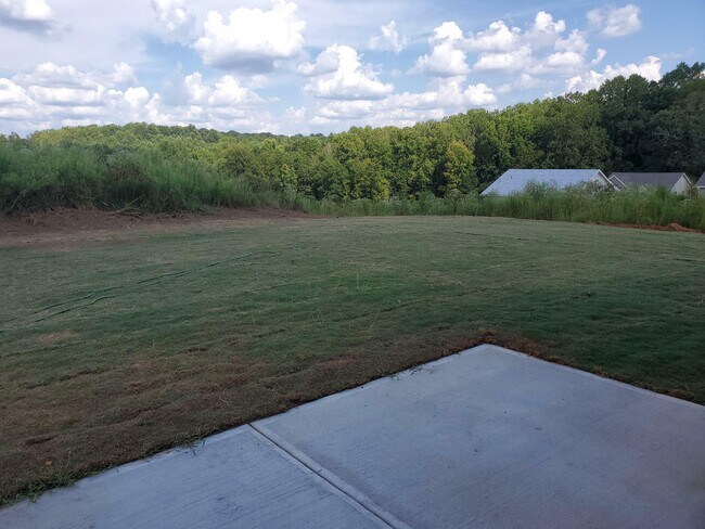1117 Sunny Vly Ln in Braselton, GA - Building Photo - Building Photo