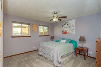 4101 Grant St in Oak Lawn, IL - Building Photo - Building Photo