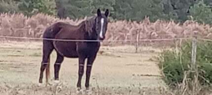 892 Smith Farm Rd, Unit TheLoft in Havelock, NC - Foto de edificio - Building Photo