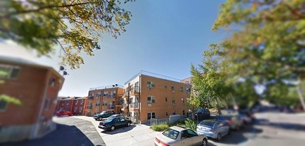 8719 Kingston Pl in Jamaica, NY - Foto de edificio - Building Photo