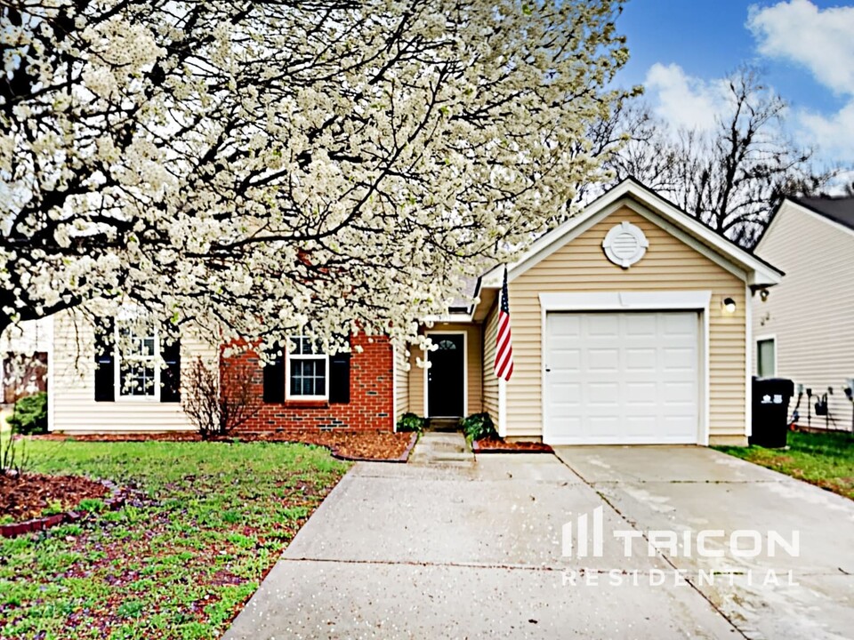 10036 Green Hedge Ave in Charlotte, NC - Building Photo