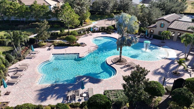 1016 Oliveto Verdi Ct in Brandon, FL - Building Photo - Building Photo