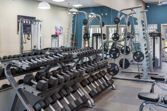 Solis at Winter Park in Winter Park, FL - Foto de edificio - Interior Photo