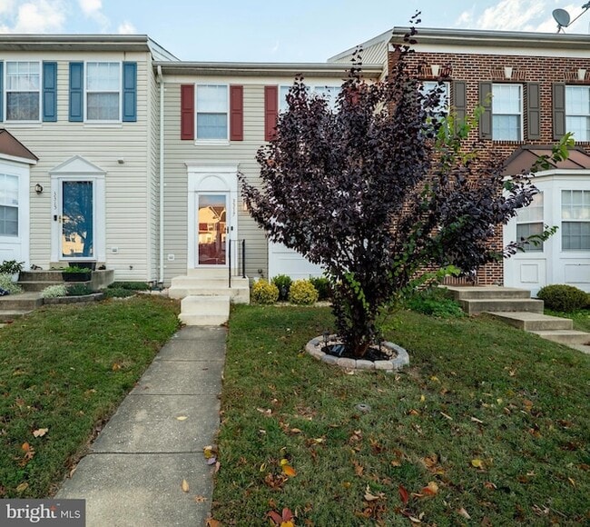 property at 3317 Hibiscus Ct