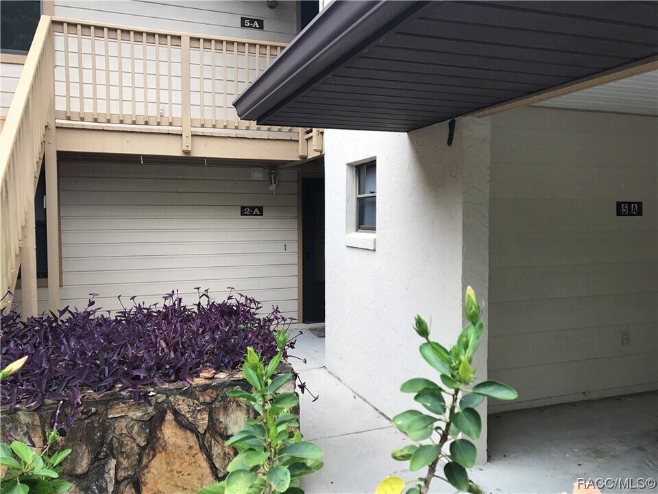 300 E Glassboro Ct in Hernando, FL - Building Photo