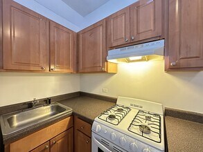 1742 N Humboldt Blvd in Chicago, IL - Building Photo - Building Photo