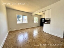 207 E 24th St in Los Angeles, CA - Building Photo