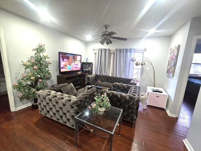 property at 12185 Royal Palm Blvd