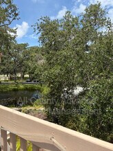 310 Los Prados Dr in Safety Harbor, FL - Building Photo - Building Photo