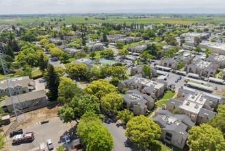 Shadowbrook in Modesto, CA - Foto de edificio - Building Photo