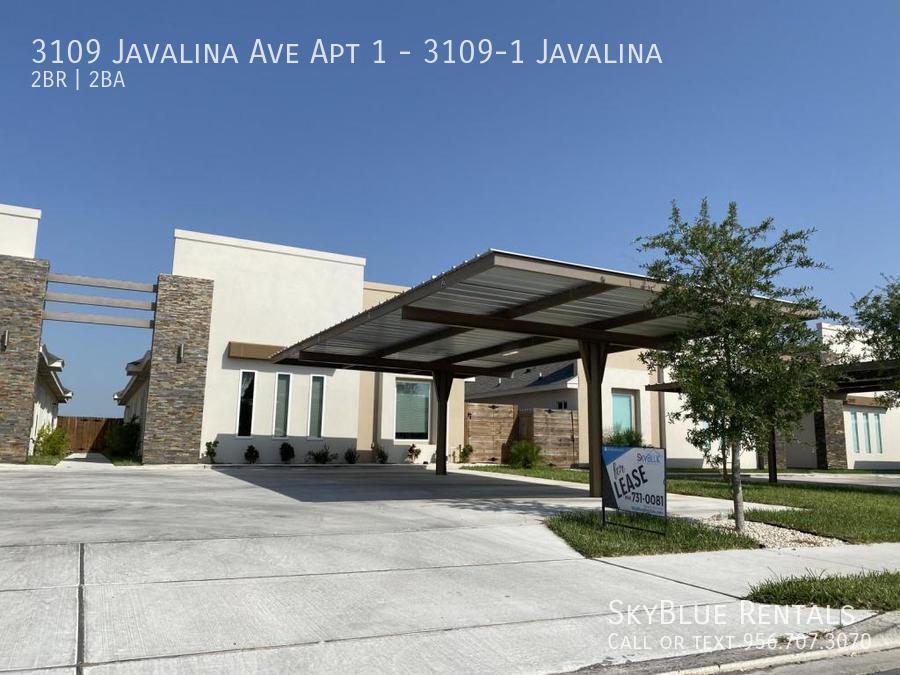 3109 Javalina Ave in Edinburg, TX - Building Photo