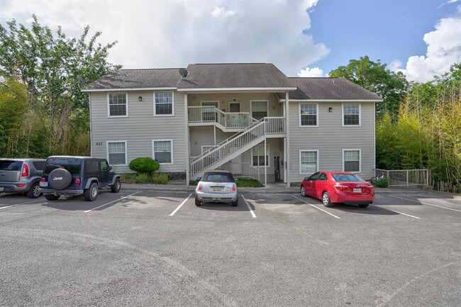 property at 427 Lindsey St
