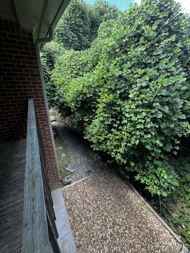 1055 Baxter St in Athens, GA - Building Photo - Building Photo