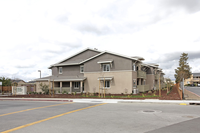 Vista Meadows Senior Apartments in Hollister, CA - Building Photo - Building Photo