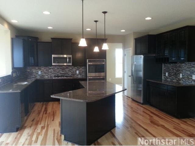 17994 Hydra Ct in Lakeville, MN - Building Photo - Building Photo