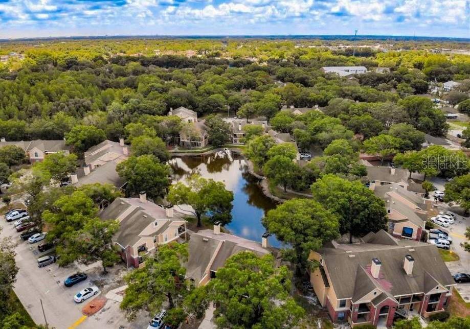 8633 Fancy Finch Dr in Tampa, FL - Building Photo