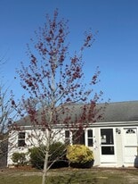 4 Summer St in Dennis, MA - Building Photo