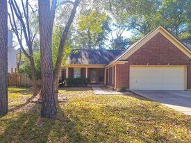 175 Sylvan Forest Dr, Unit 19141 in Spring, TX - Building Photo