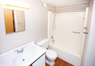 Carriage Hill Apartments in Medina, OH - Building Photo - Building Photo