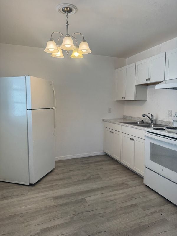 1442 E 1st Ave in Mount Dora, FL - Building Photo - Building Photo