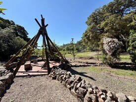 321 Dutch Henry Canyon Rd in Calistoga, CA - Building Photo