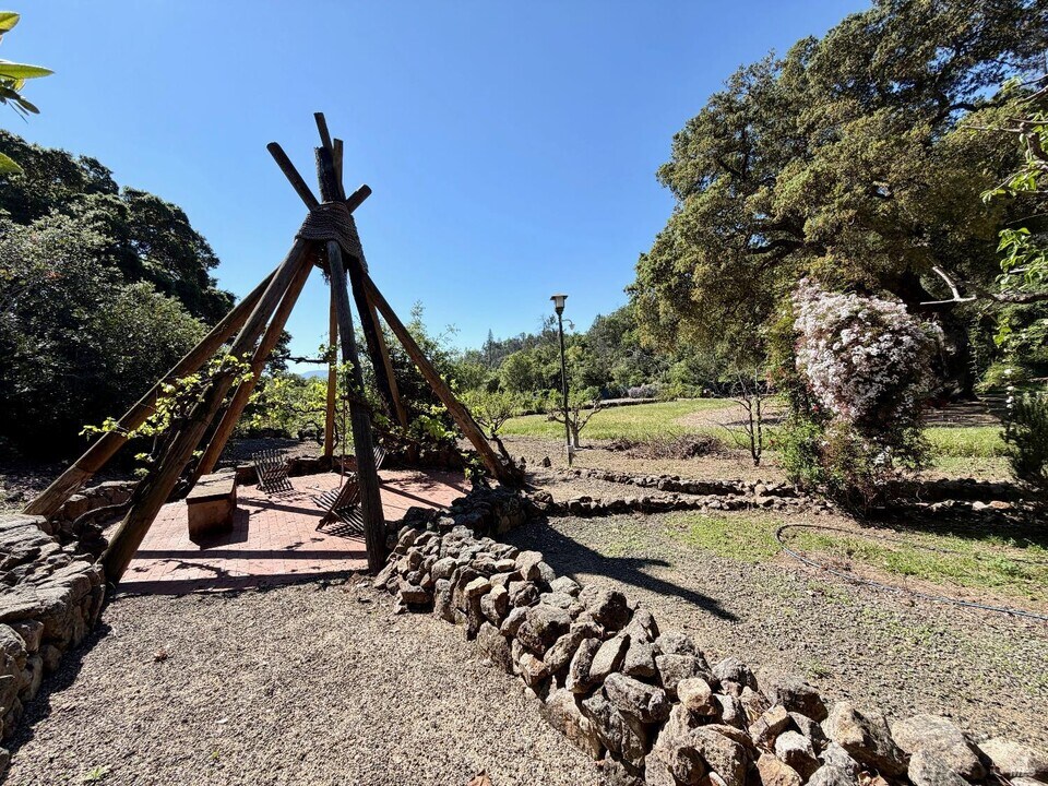 321 Dutch Henry Canyon Rd in Calistoga, CA - Building Photo