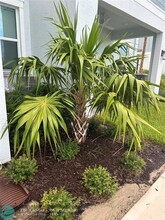 4658 Longwood Lake Sq in Westlake, FL - Building Photo - Building Photo
