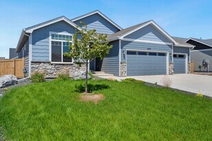 6977 Grassy Range Dr in Wellington, CO - Building Photo