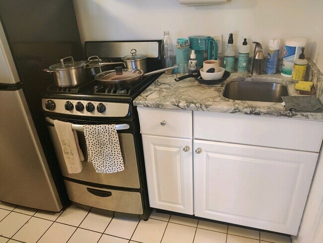 239 W Newton St, Unit 1 in Boston, MA - Building Photo - Building Photo