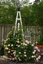 3795 Askin Ave in Windsor, ON - Building Photo - Building Photo