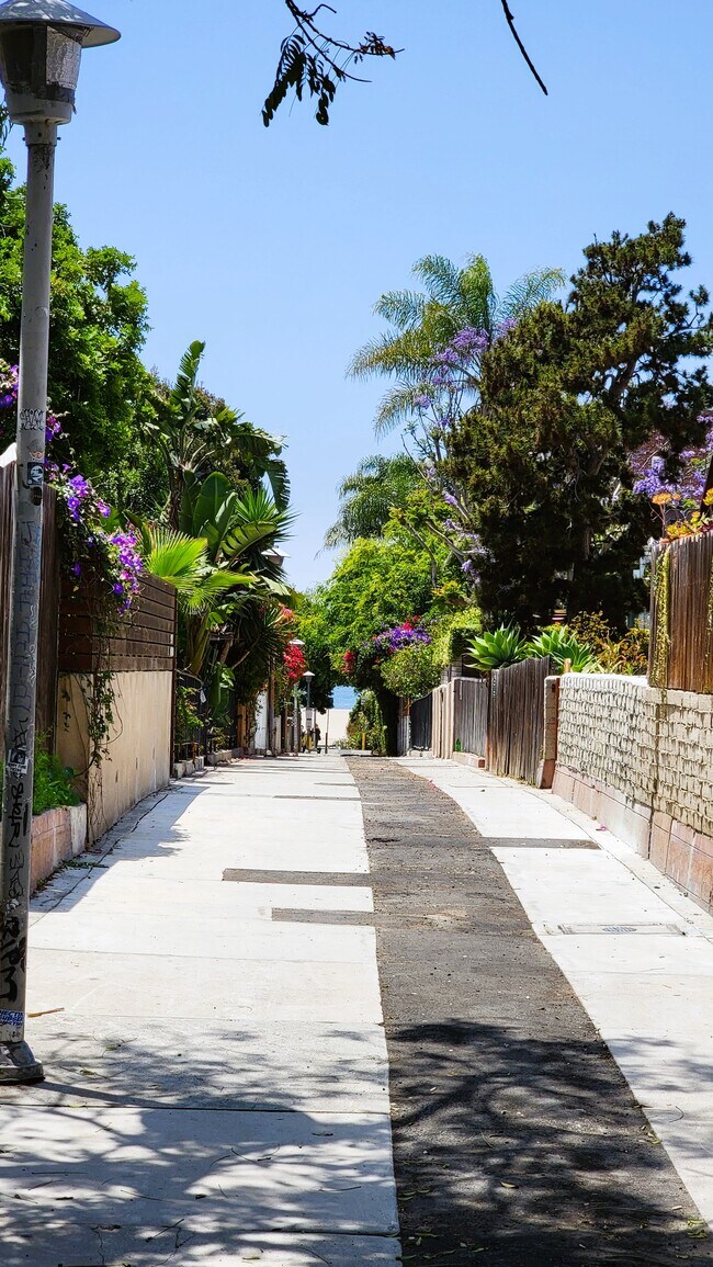 53 Paloma Ave Apartments and Nearby Venice Apartments For Rent Venice, CA