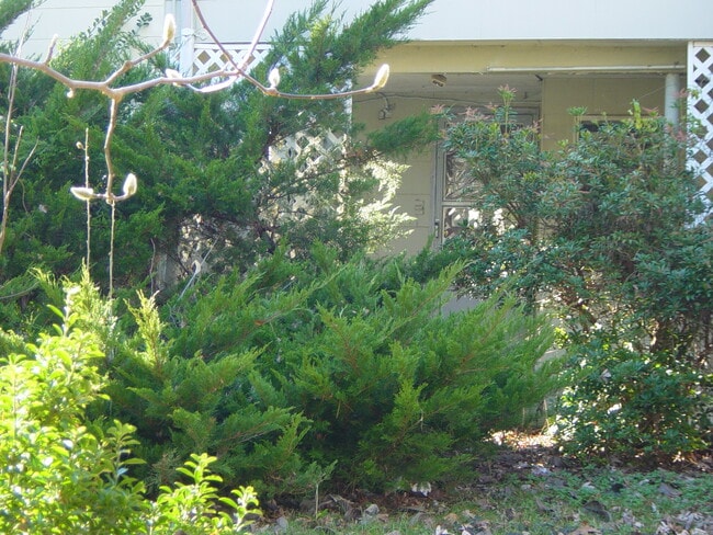 283 Coronado St, Unit Apt for rent in Islip Terrace, NY - Foto de edificio - Building Photo