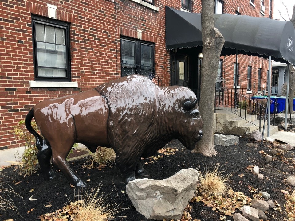 Lafayette Apartments in Buffalo, NY - Foto de edificio