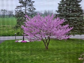 2794 N Cherry Ln in Ronks, PA - Foto de edificio - Building Photo