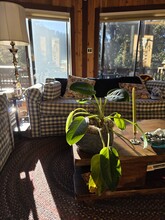 1921 Bernina Dr in Frazier Park, CA - Building Photo - Building Photo