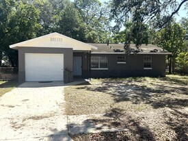 8521 Chinaberry Dr in Tampa, FL - Building Photo