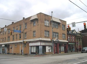 1001 E Carson St in Pittsburgh, PA - Building Photo - Building Photo