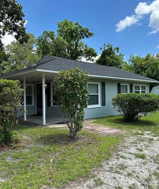 property at 217 Mercer Ave