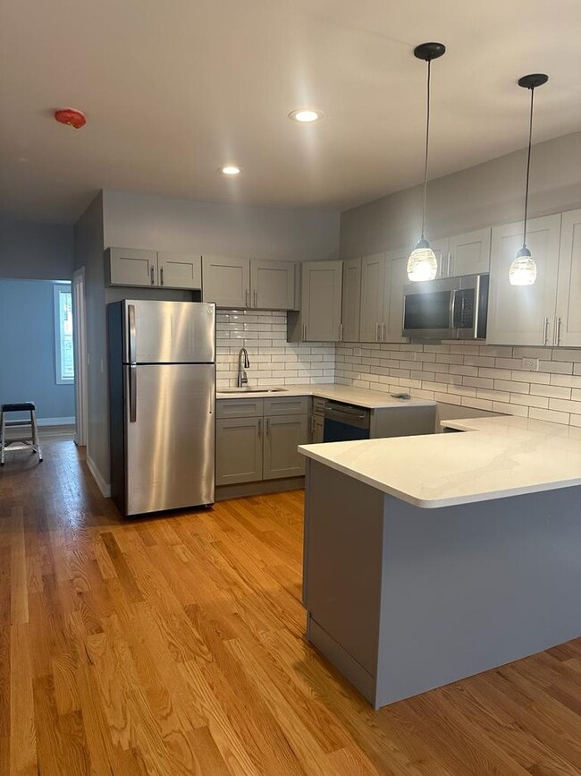 2224 W 24th St, Unit Apt 1 in Chicago, IL - Building Photo - Building Photo