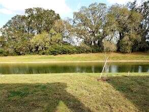 4923 Rolling Greene Dr in Wesley Chapel, FL - Building Photo - Building Photo