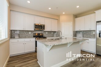 2538 Gold Brk St in Lincoln, CA - Building Photo - Building Photo