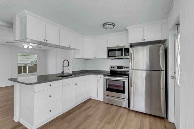 243 Tangerine Dr in Ft. Myers, FL - Building Photo - Building Photo