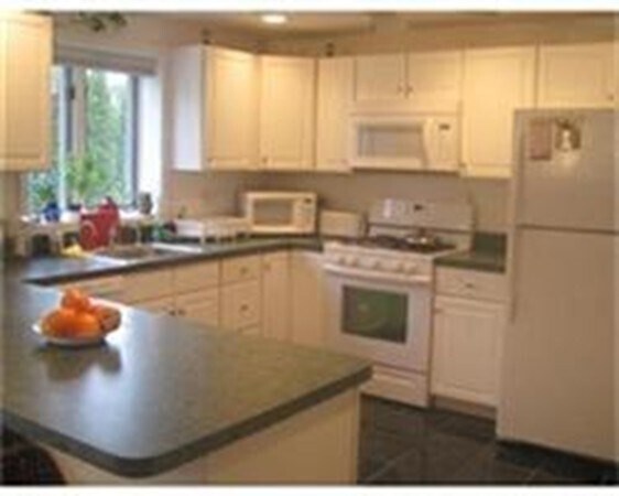172 Maple St, Unit 1 in Boston, MA - Building Photo