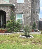 1153 Leadtree Loop in Mustang Ridge, TX - Building Photo