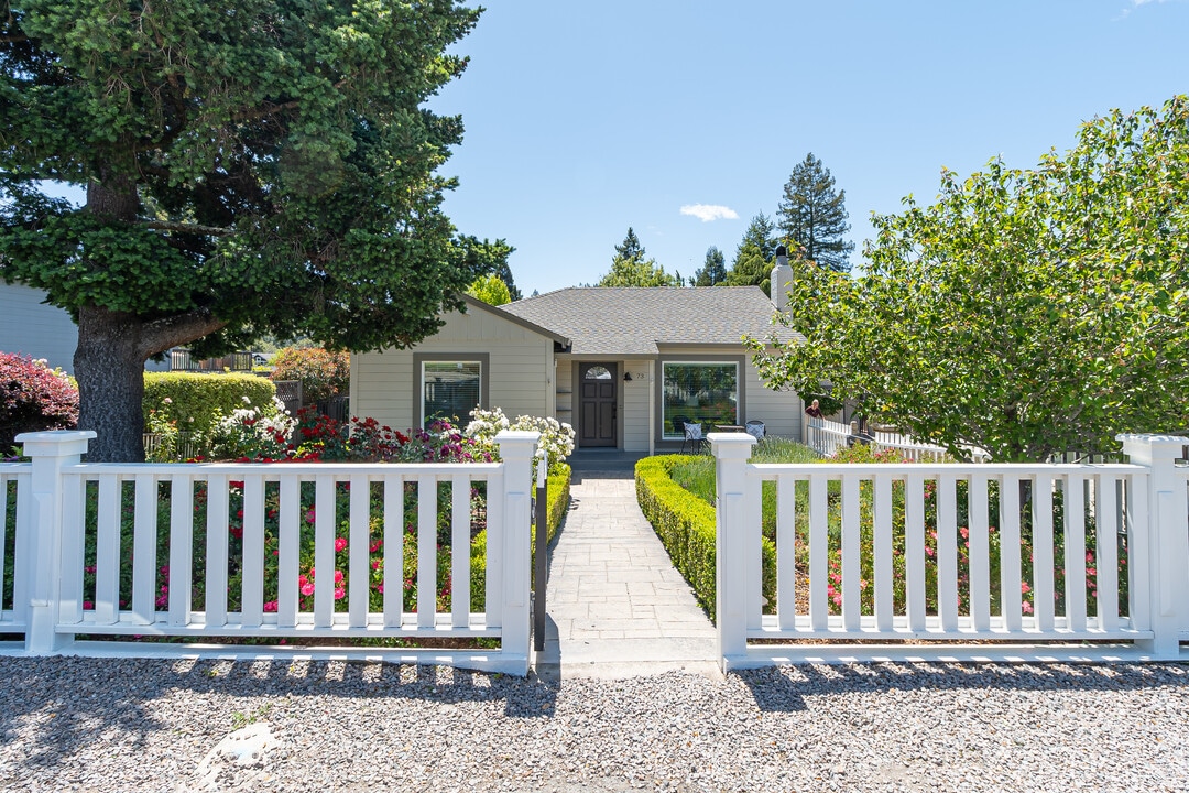 73 Lomita Dr in Mill Valley, CA - Building Photo