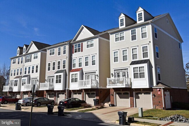 45740 Winding Branch Terrace in Sterling, VA - Building Photo - Building Photo