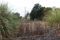 2702 Stony Point Rd in Petaluma, CA - Foto de edificio - Building Photo