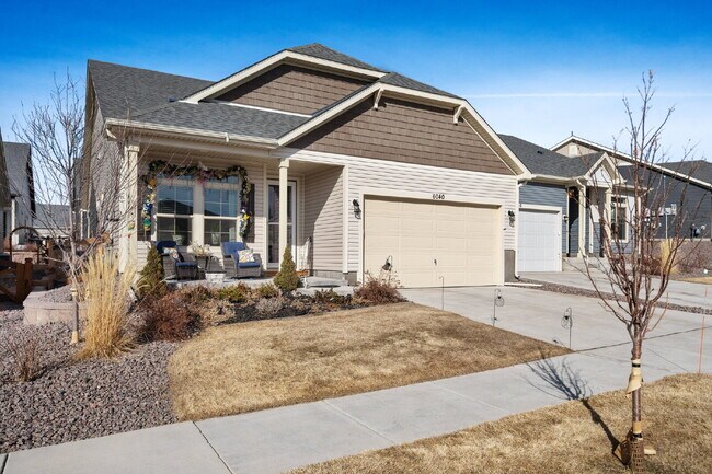 6040 Torrisdale Vw in Colorado Springs, CO - Building Photo - Building Photo